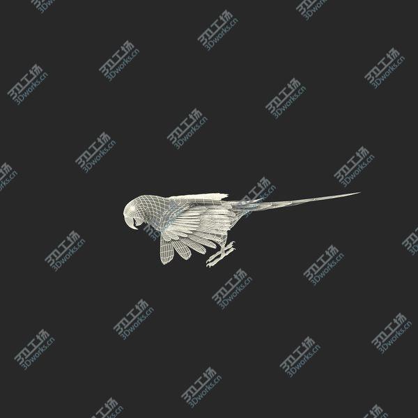 images/goods_img/20210312/Blue and Gold Macaw Rigged/4.jpg